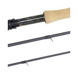 Guideline Brook and TLT