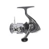 Combo Daiwa Trout