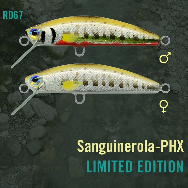 Urban Fishing Lures RealDeal 67 Vairon – Duo Mâle et Femelle – Édition Limitée