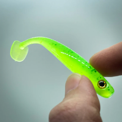 Just Fish Bait Kitara SR...