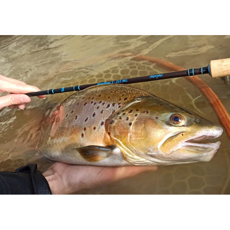 Morpho Fishing Papallona S-212 ML