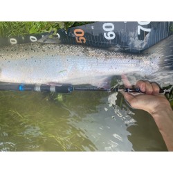Morpho Fishing Islanda S-290 MH Travel