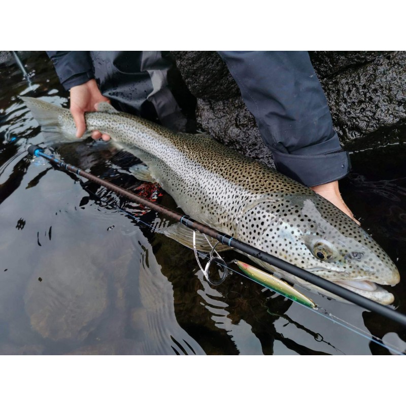 Morpho Fishing Islanda S-290 MH Travel