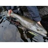 Morpho Fishing Islanda S-290 MH Travel
