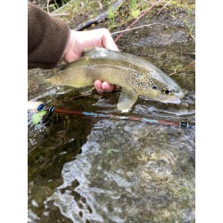 Morpho Fishing Papallona S-212 ML Travel