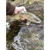 Morpho Fishing Papallona S-212 ML Travel