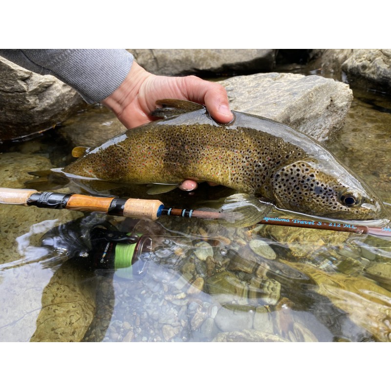 Morpho Fishing Papallona S-212 ML Travel