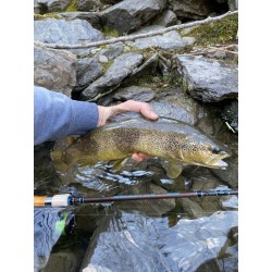 Morpho Fishing Papallona S-212 ML Travel