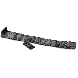 Molix Fish Ruler