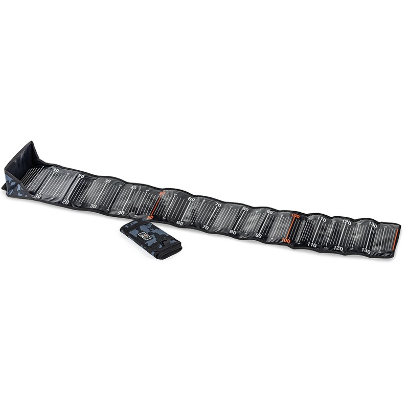 Molix Fish Ruler