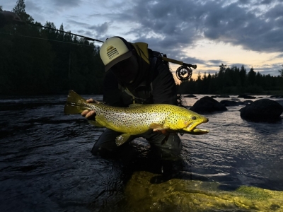 Finlandia, notti bianche e grosse trote