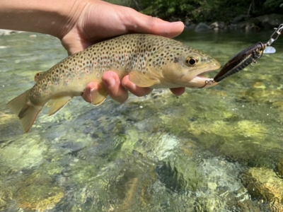 La pesca alla trota nei riali ticinesi